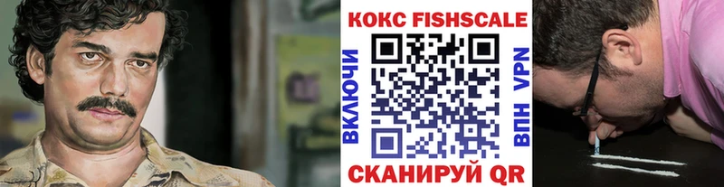 COCAIN Fish Scale  Купить где  Кинешма 