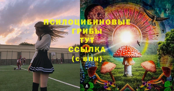 марки lsd Богородск