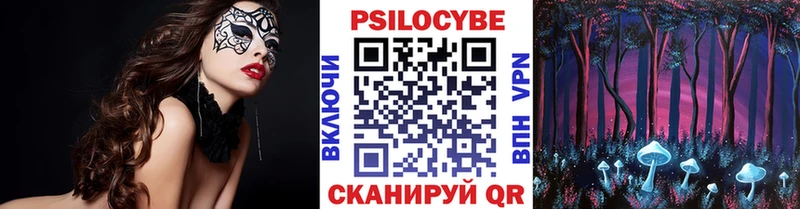 Псилоцибиновые грибы Psilocybe  Купить  Кинешма 